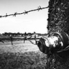 Os crist�os e a guerra � o que a B�blia ensina
