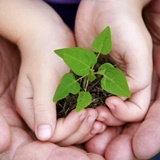 Sobre o meio-ambiente: estamos numa encruzilhada!